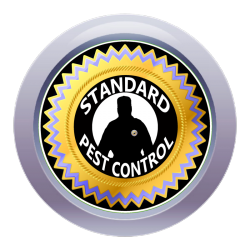 Problemas com insetos and pestes?