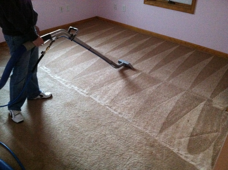 Professional carpet cleaning