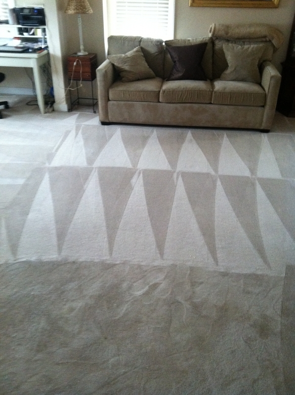 Professional carpet cleaning