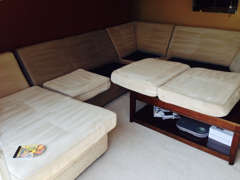 Professional carpet cleaning