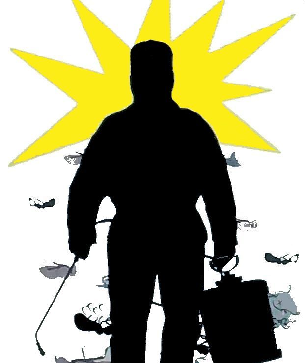 Insetos e pestes te perturbam?