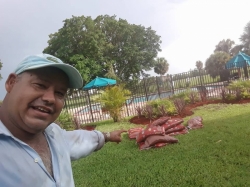 landscape,paintings.deck.drive way.