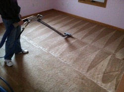 Professional carpet cleaning