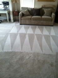 Professional carpet cleaning