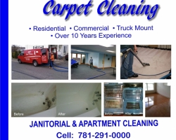 Professional carpet cleaning