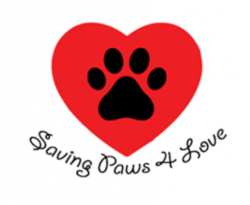 PLEASE, HELP US TO SAVE THEM!!!