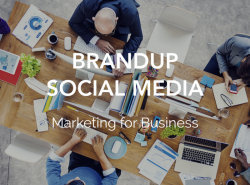 Social Media/Website