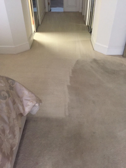 Top Touch Steam Services