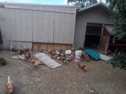 Costrucao e Remodelacao
