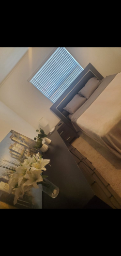 Alugo quarto grande e lindo em Deerfield Beach per...