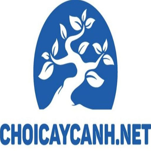 Choicaycanhnet1