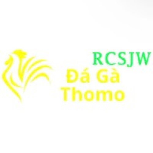 Đá Gà Trực Tiếp Thomo