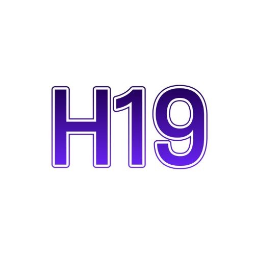 H19