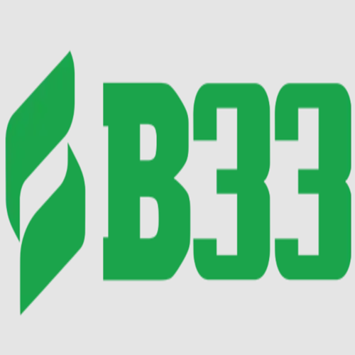 b33