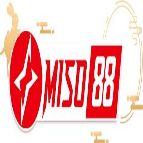 Miso88diy