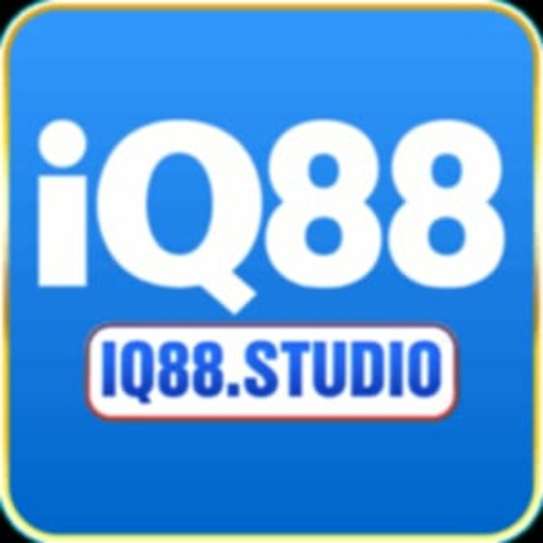 Iq88studio1