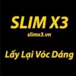 SLIM X3 vn