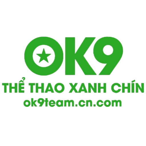 ok9team cn com