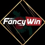 Fancywintech1