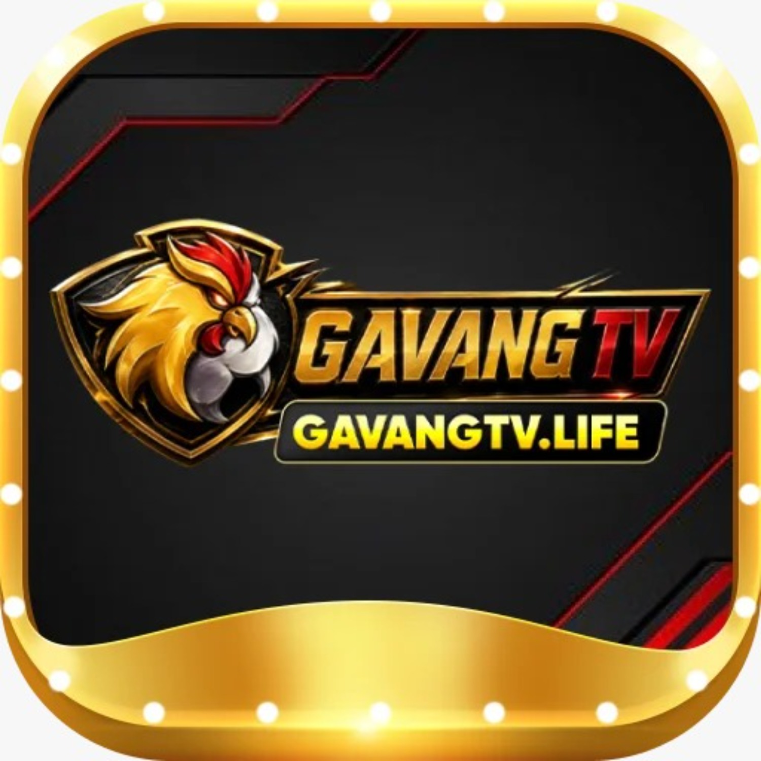 Gavangtvlife