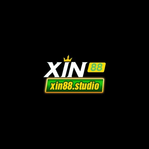 Xin88studio