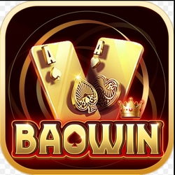 Baowin1org