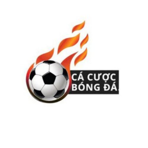 TrangCaCuoc BongDa
