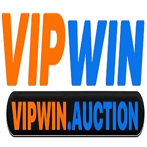 Vipwinauction