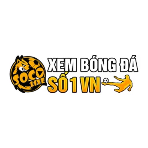Socolivetvgroup