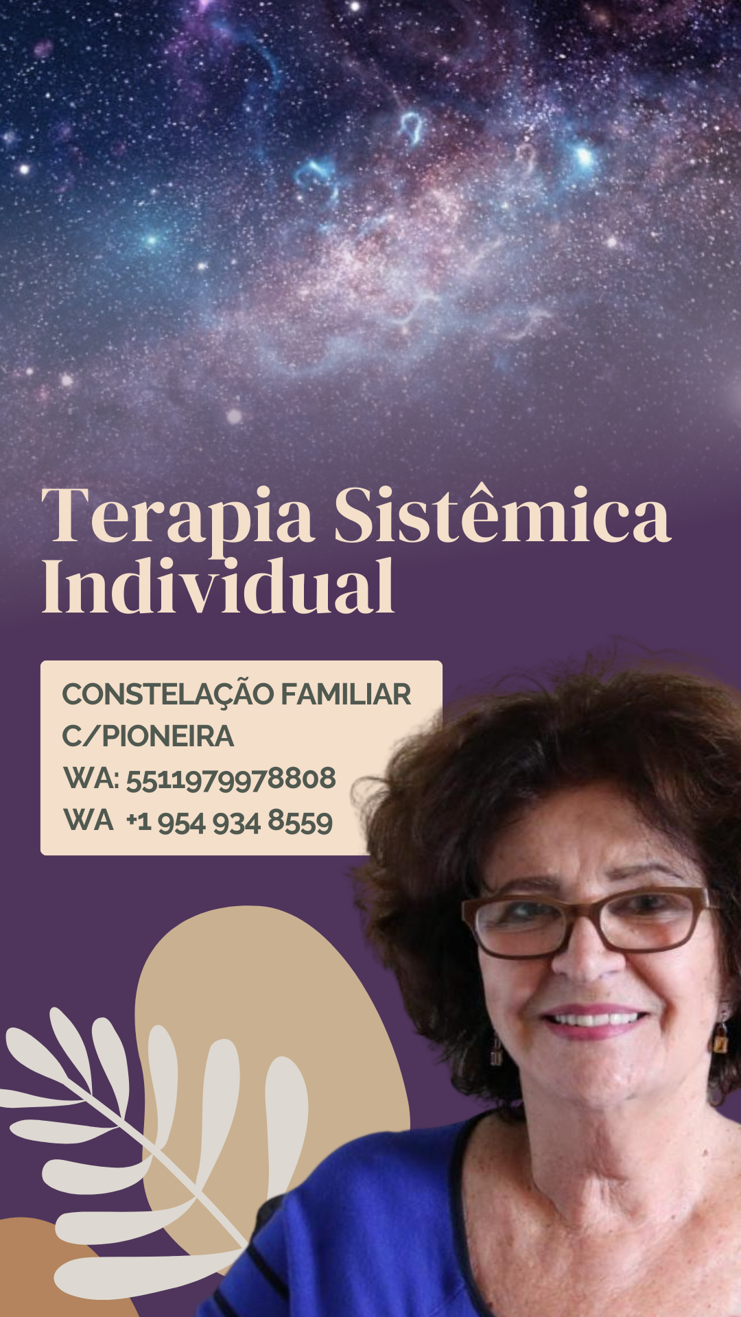 Terapia Sistemica Individual (Constelação Famili...